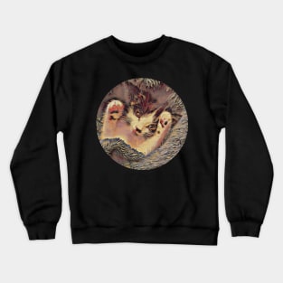 Sweet Cute Blanket Kitten Crewneck Sweatshirt